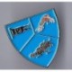 Pin's EC 1/3 Navarra
