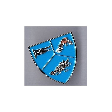 Pin's EC 1/3 Navarra